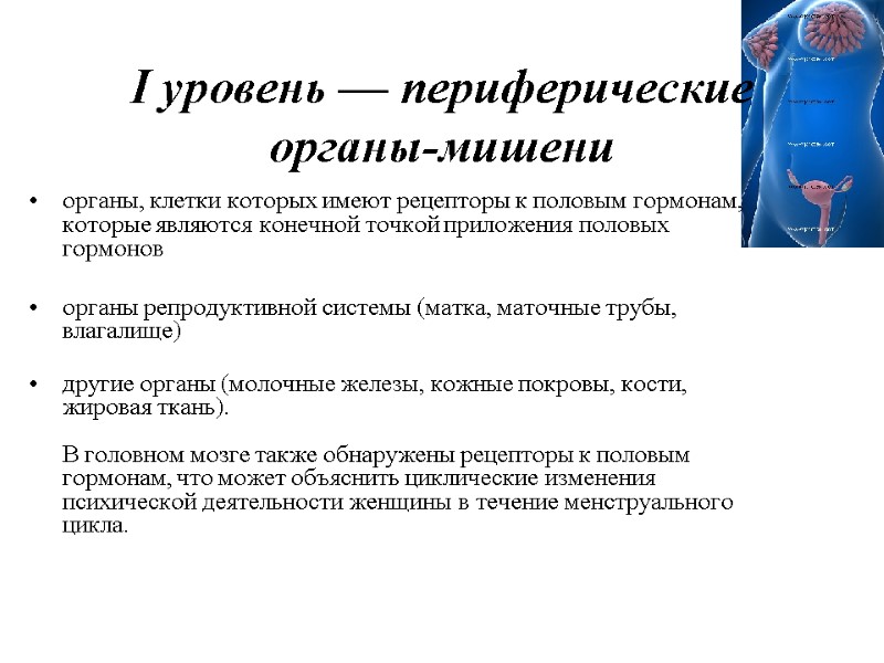 органы, клетки которых имеют рецепторы к половым гормонам, которые являются конечной точкой приложения половых органы, клетки которых имеют рецепторы к половым гормонам, которые являются конечной точкой приложения половых